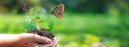 Miniaturbild Schmetterling auf Glaskugel